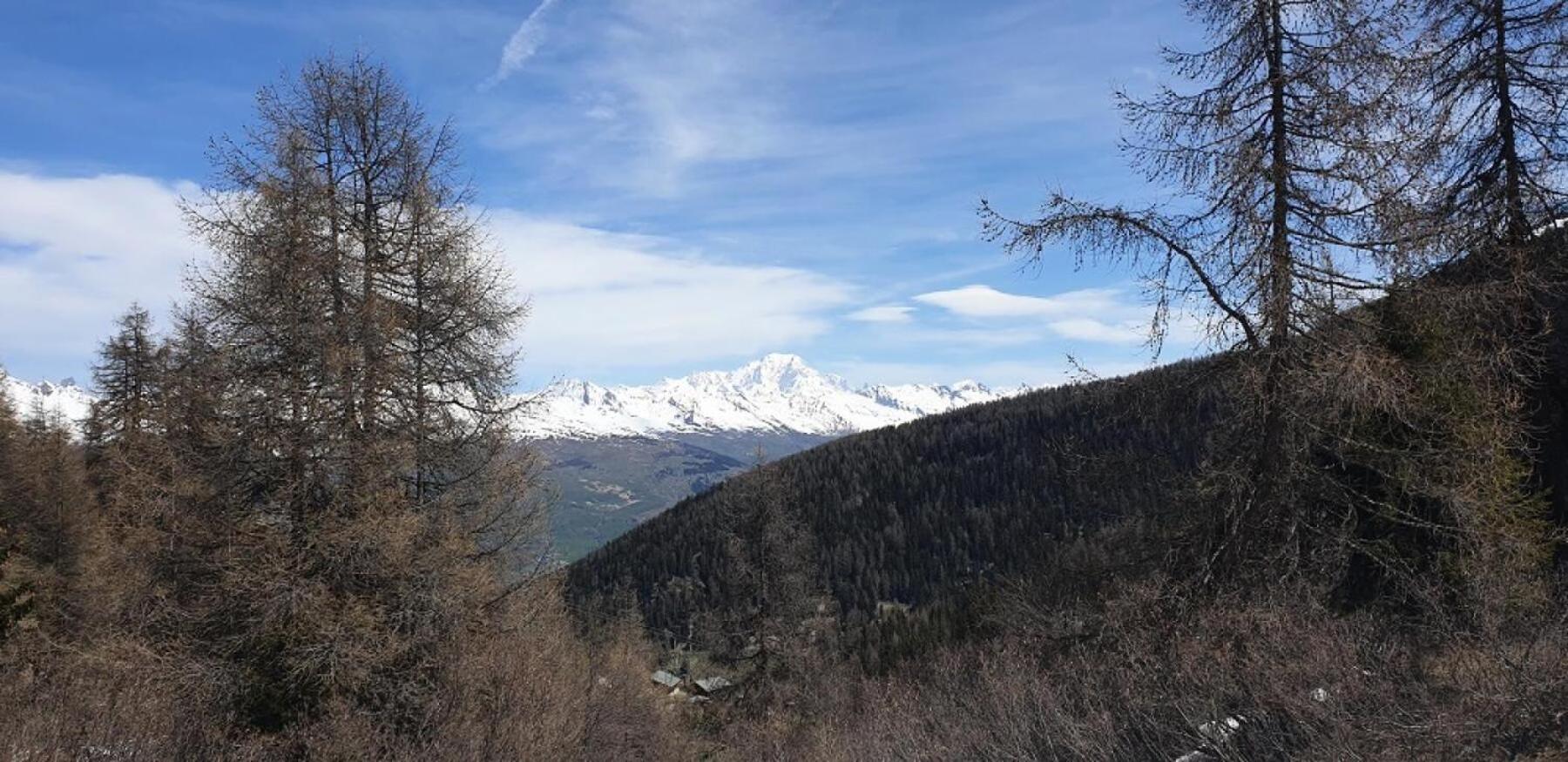 Residence Plagne Lauze - Maeva Home - Studio 2 Personnes - Selection Mae-9201 Macot-la-Plagne Esterno foto